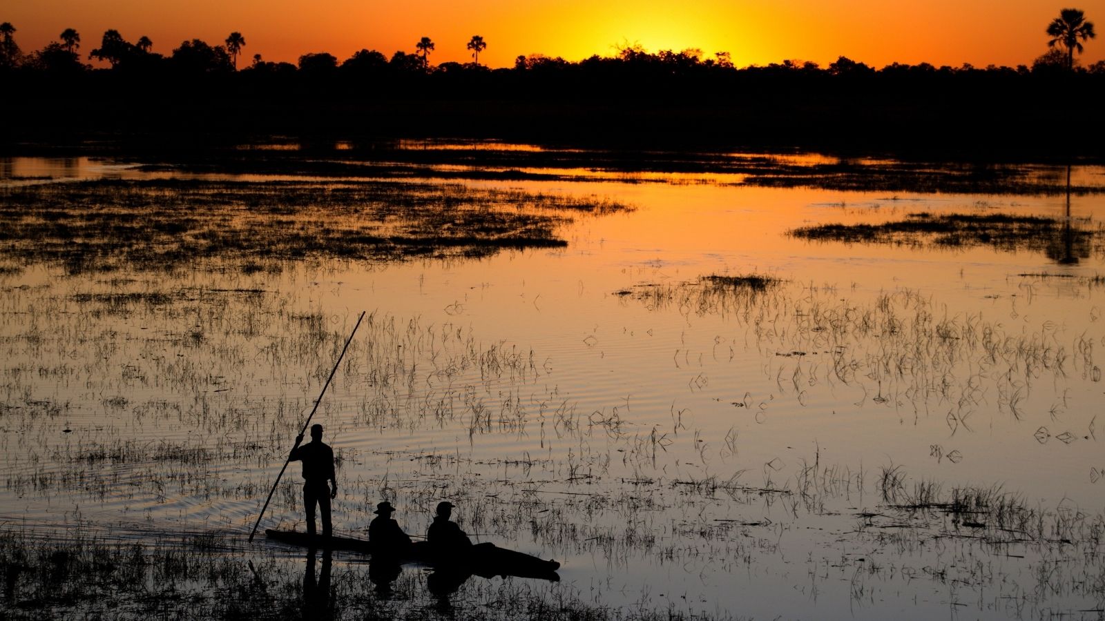 Sunset in the Okavango Delta
