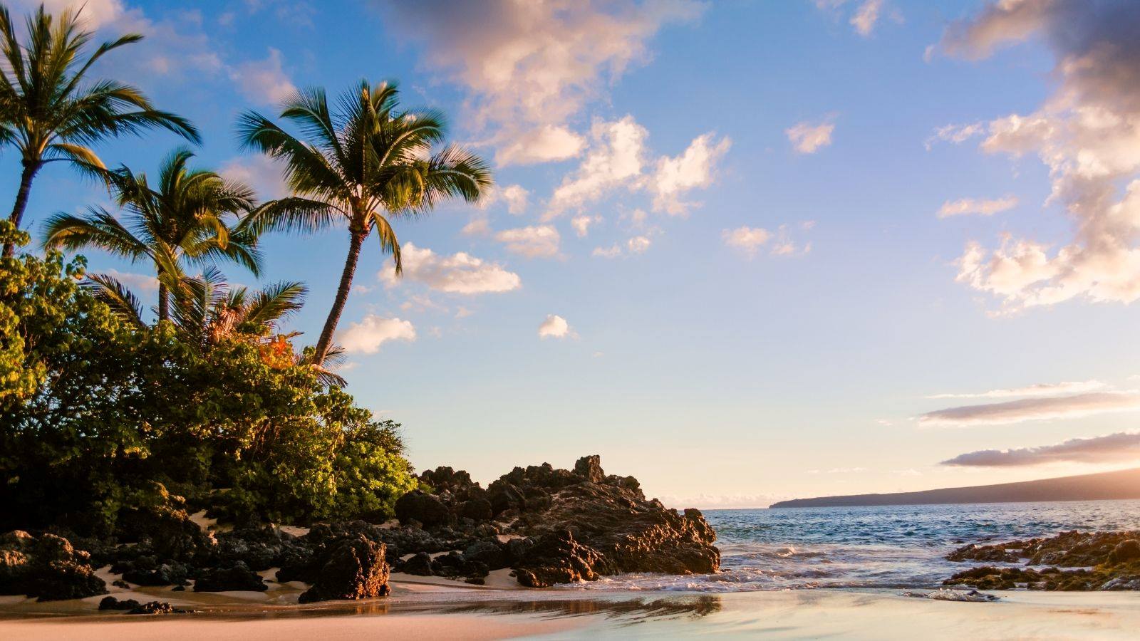 Arrive at Lanai by private jet